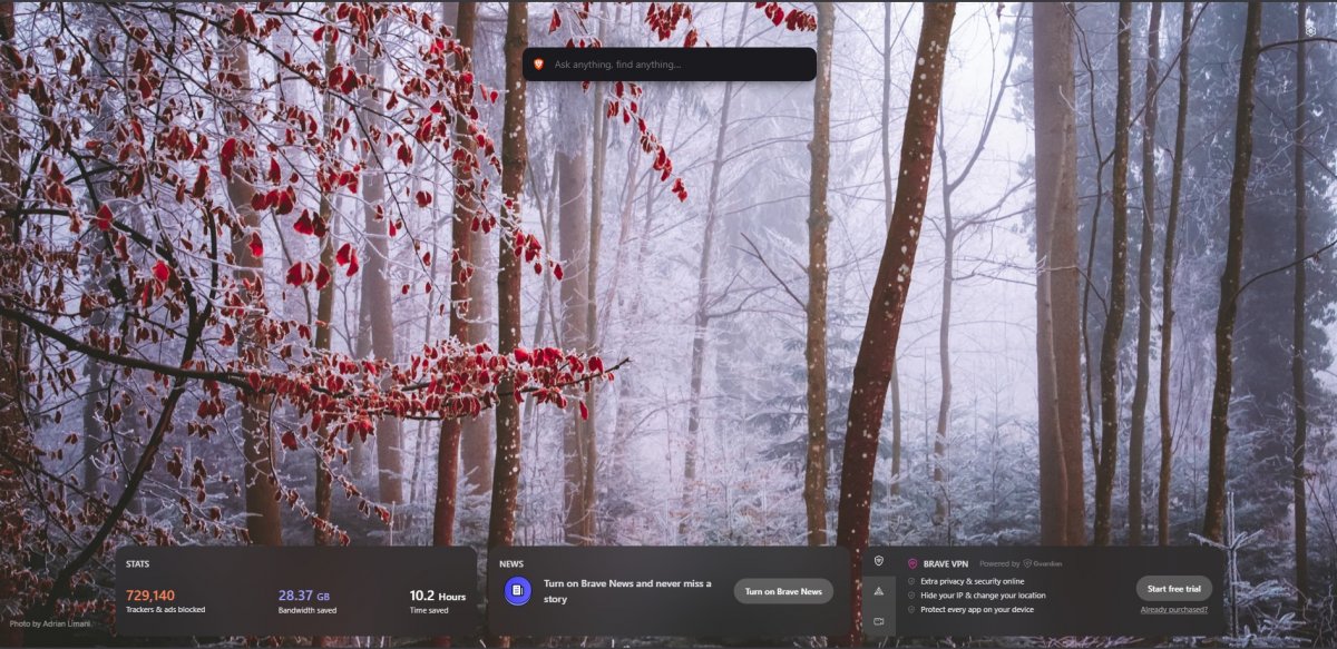 Another Photo Featured on Brave Browser 