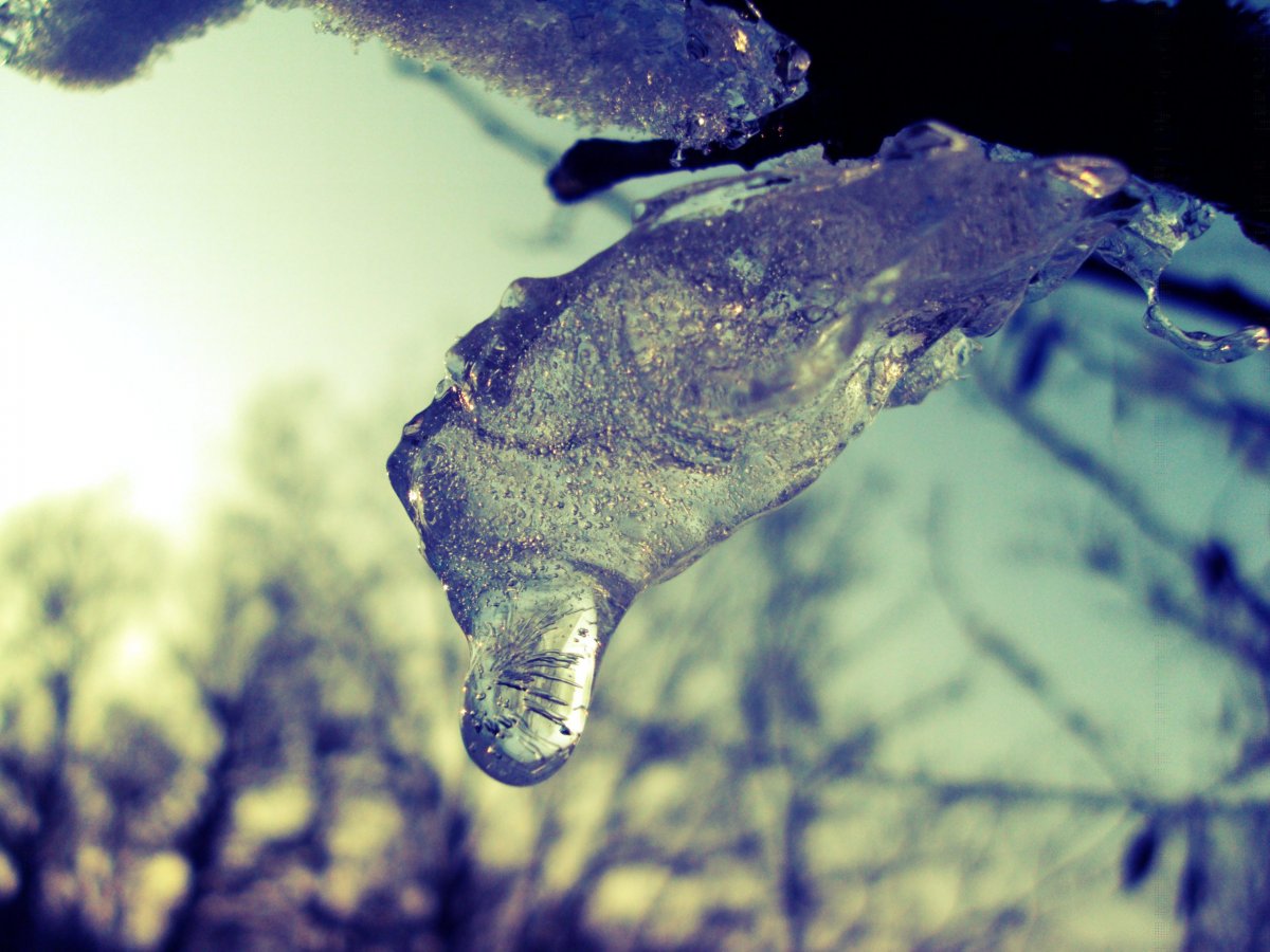 Ice melting: Photo taken with Sony DSC S950 / 2010